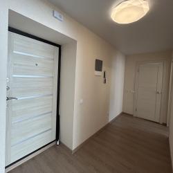 Фото Апартаменты на улице Родионова 167 корпус 5