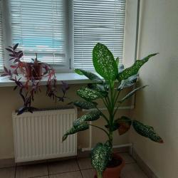 Фото Отель Урал