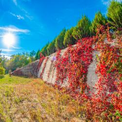 Фото Отель Dubrava (Дубрава)