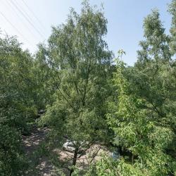 2-комнатные апартаменты улучшенные Академика Арцимовича, 14, корп. 2