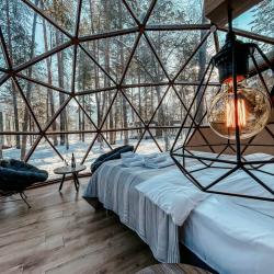 Купольный дом SFERA 360