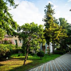 Фото Парк-отель