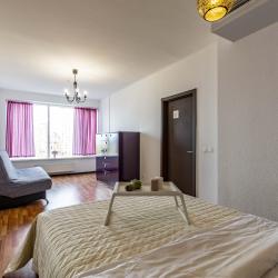2-комнатные апартаменты улучшенные BeGuest Белинского 108
