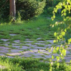 Фото Отель Десятка