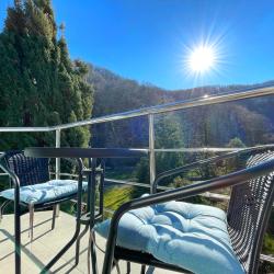 Апартаменты люкс база отдыха Агой, 2 (мансарда)