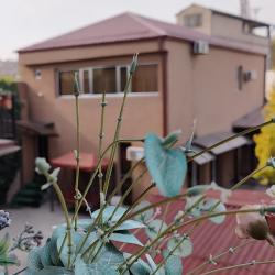 Фото Отель Areg Hotel (Арег)