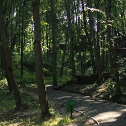 Фото Парк-отель Истра