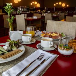 Domina Hotel Novosibirsk (Домина Новосибирск) — 6dcc5fe46dab09718980867479a819e8
