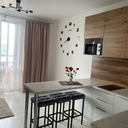 Фото Апартаменты на Суздальском шоссе 18к4