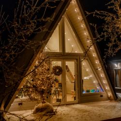 Дом у сосны