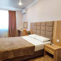 Номер делюкс с 1 двуспальной кроватью