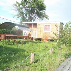 Номер стандарт с 2 односпальными кроватями