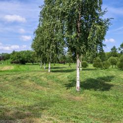 фото 31 Rental (РенталСПб) на улице Белградская