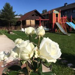 Фото Отель Куршале