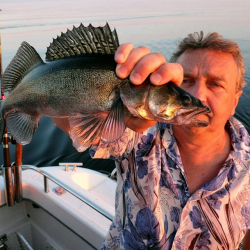 Фото Отель Гостевой комплекс Сосны