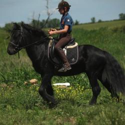 Фото Отель Любимая Усадьба