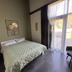 2-местная комната делюкс