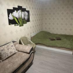 Фото Апартаменты на проспекте Ленина 13