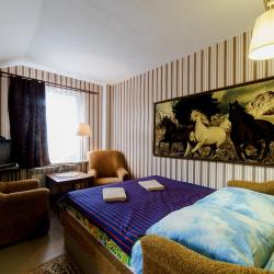 Фото Отель Родина