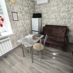 1-комнатные апартаменты студия Красной Армии 136/14