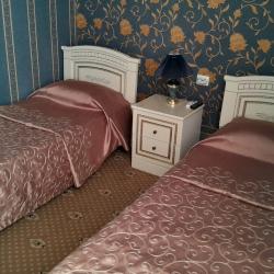 Колибри — 6e5bc5c5942be872f89d88421242855b