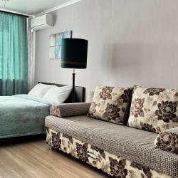 1-комнатные апартаменты люкс с 1 двуспальной кроватью