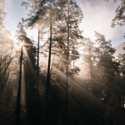 Фото парк Отель Алтай