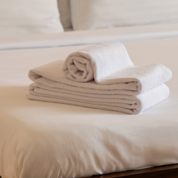 Фото Отель La Defense Hotel (Ля Дефанс)