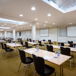 HolidayHall Samara (ХолидейХолл Самара) (бывш. Holiday Inn Samara) — 6e8b0261c96ca1f5d8e1bf2b79480eaf