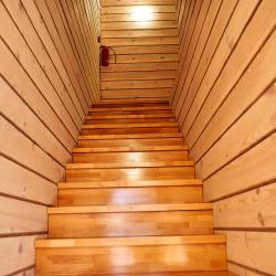 Фото Алтай-парк-отель Подгорица