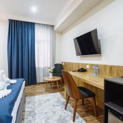 Номер премиум с двуспальной кроватью