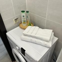 Фото Апартаменты APARTS FROM LEXI (АПАРТС ФРОМ ЛЕКСИ) на улице Студенческая