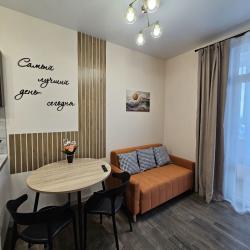 2-комнатные апартаменты люкс Аристархова 4