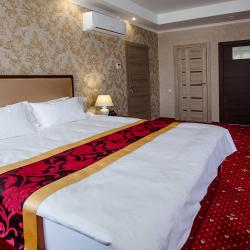 Номер люкс с 1 двуспальной кроватью