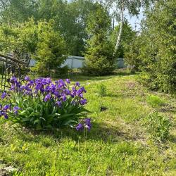 Фото Отель Адмирал