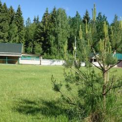 Фото Отель Лесной скит