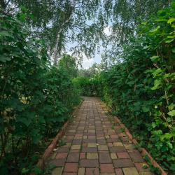 Фото Отель Ontario Village (Онтарио Вилладж)