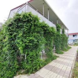 Фото Отель Южные ночи