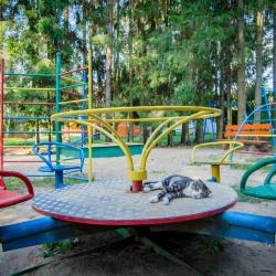 Фото Отель Березовая Роща