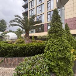 Фото Отель Метрополь 409