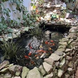 Фото Отель Гостевой дом Мира