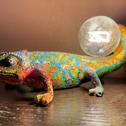 Кровать в 4-местном общем номере Мандела