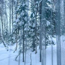 Фото Отель Брусника