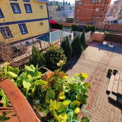 Фото Отель Парфена