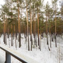 1-комнатные апартаменты стандарт №5