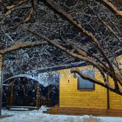 Фото Отель Гостевой дом Грейстоун