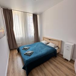 Апартаменты стандарт Деревня Аристово, ул.Северная, 5