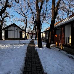 Фото Парк-отель Нобель