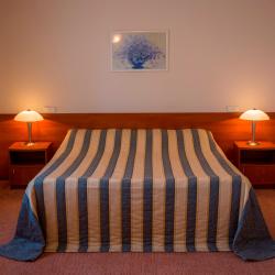 Номер люкс с 1 двуспальной кроватью