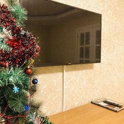 Апартаменты стандарт Кирова 28 с 1 двуспальной кроватью